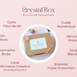 Crystal’Box Protection Énergétique