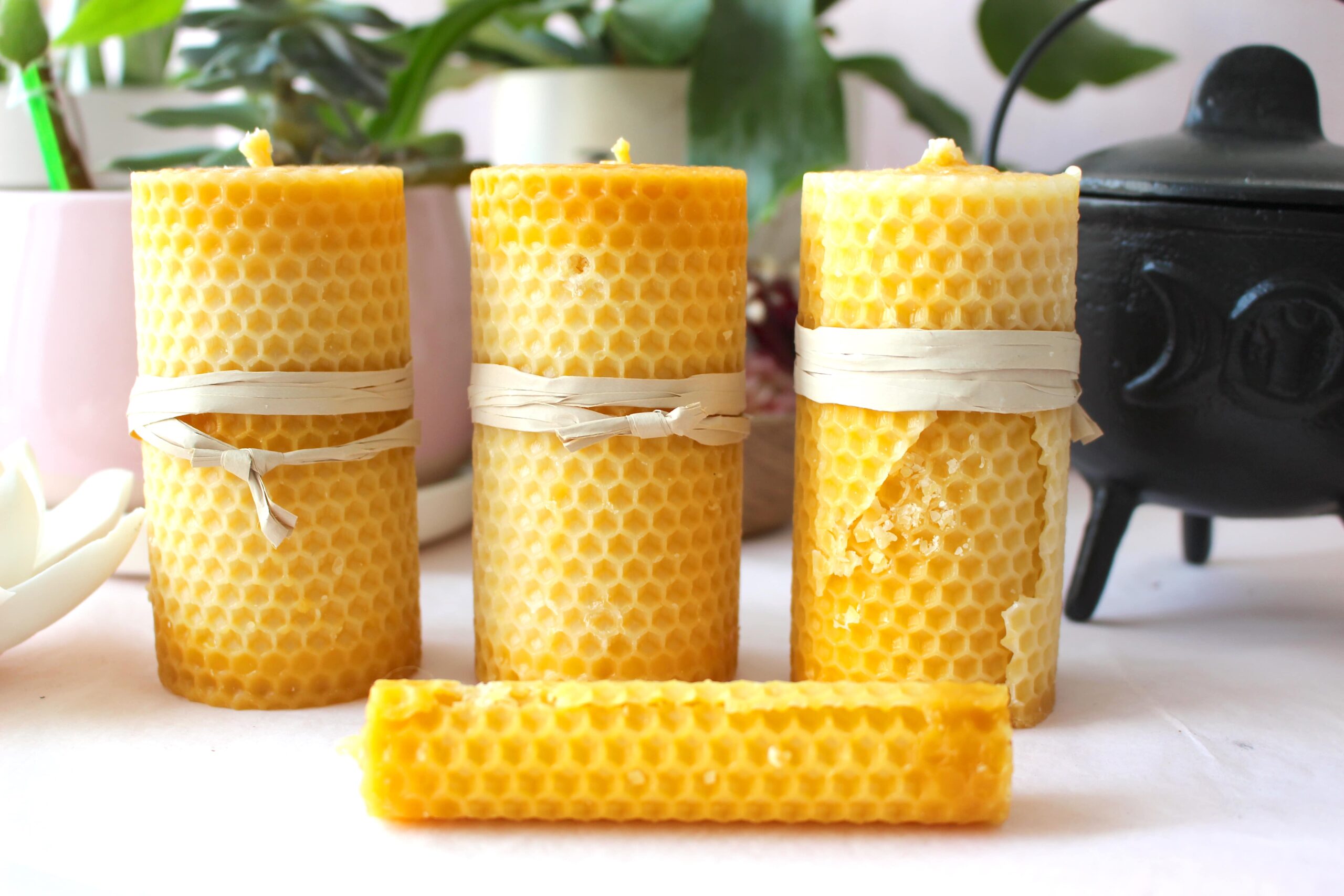 Bougie en cire d’abeille (promo)